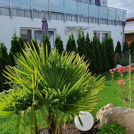 Ferienwohnungen "Godewind", Appartements Mit Balkon Oder Terrasse Zinnowitz Ngoại thất bức ảnh