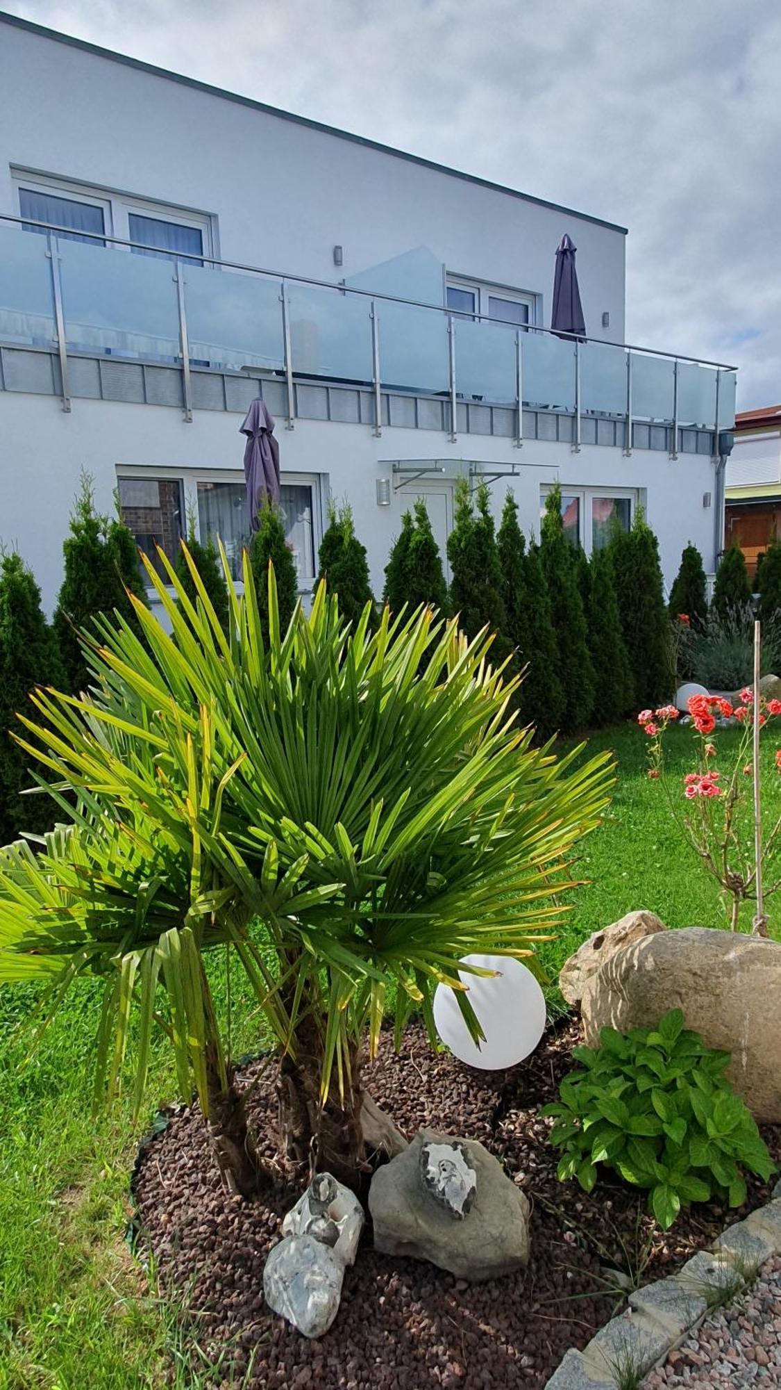 Ferienwohnungen "Godewind", Appartements Mit Balkon Oder Terrasse Zinnowitz Ngoại thất bức ảnh